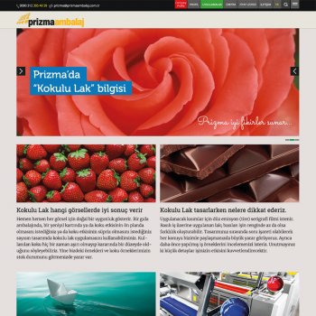 PRİZMA WEB